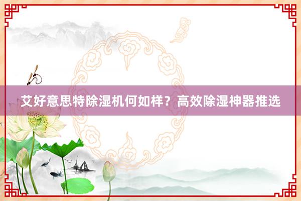 艾好意思特除湿机何如样？高效除湿神器推选